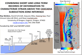 Combining Short and Long Term Records of Deformation to Characterize Strain Above the Cascadia Subduction Zone Interface