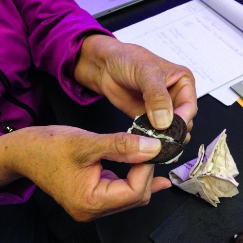 A participant in the Southwest Native Science Educators Workshop (NSEW) demonstrates the theory of plate tectonics with a cookie. 