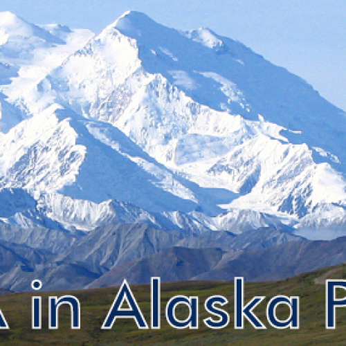 Denali banner